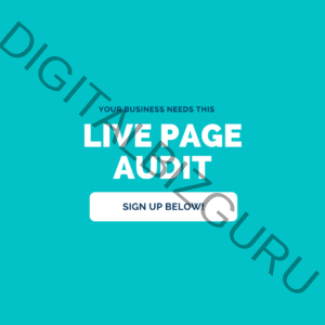Page Audit (LIVE)