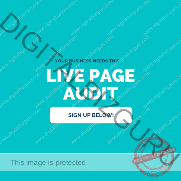 Page Audit (LIVE)