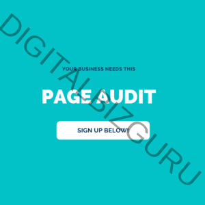 Page Audit