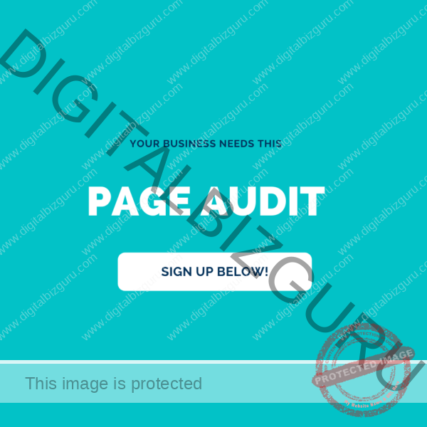 Page Audit