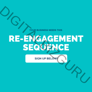 Re-engagement Campaign