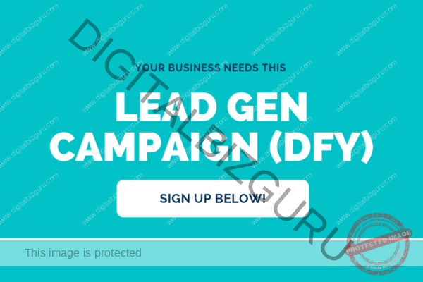 Lead generation campaign ad setup-DFY